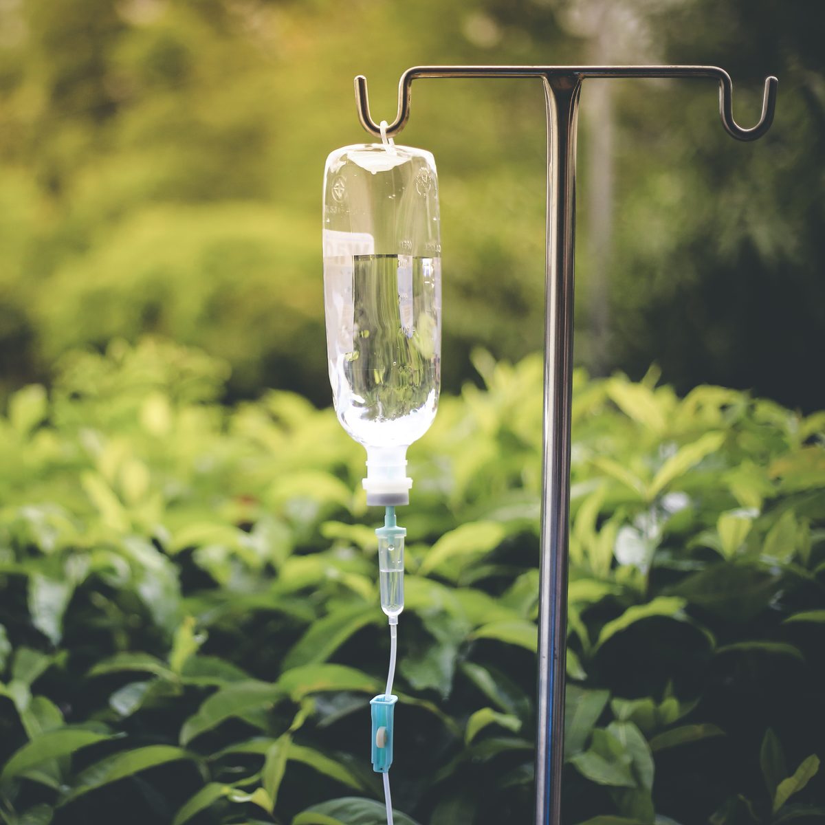 An IV bottle hanging from a stand among green foliage